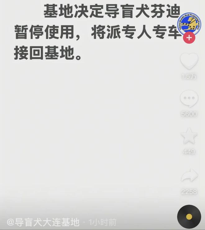 犬雨夜爬泰山引争议当事人回应开元棋牌网站视障人士携导盲(图3) 犬雨夜爬泰山引争议当事人回应开元棋牌网站视障人士携导盲(图3)