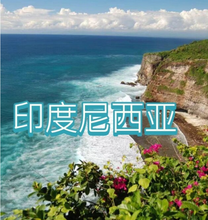 国际电商(印尼)产业博览会开元ky棋牌2025中国(图2)