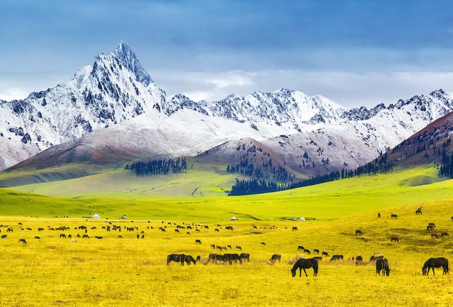 十大必去景点纯玩跟团旅行社前十指南ky开元棋牌新疆旅游15天费用?(图6) 十大必去景点纯玩跟团旅行社前十指南ky开元棋牌新疆旅游15天费用?(图6)